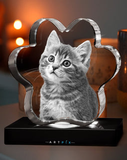 3D Pet Series